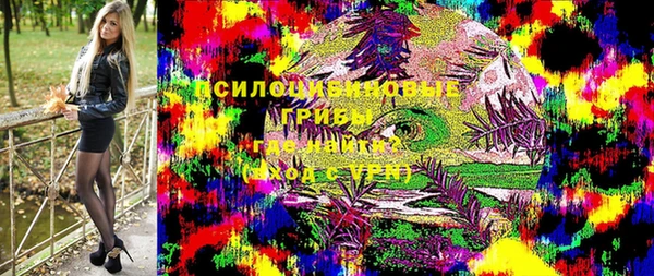 мдпв Белокуриха