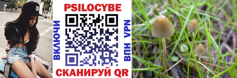 shop состав  где купить наркотик  Кстово  Псилоцибиновые грибы Magic Shrooms 